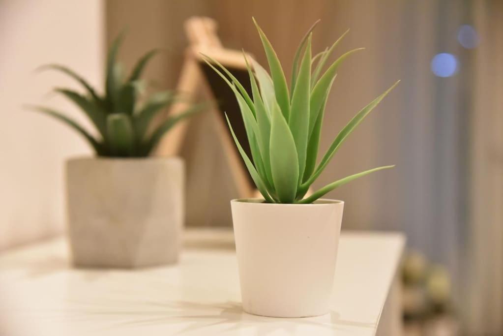 Tiny Treasure Apartment Ateny Zewnętrze zdjęcie
